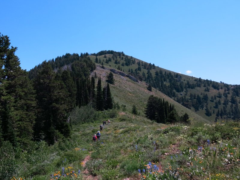 Ridge