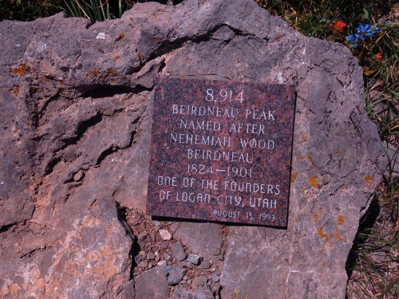 Plaque