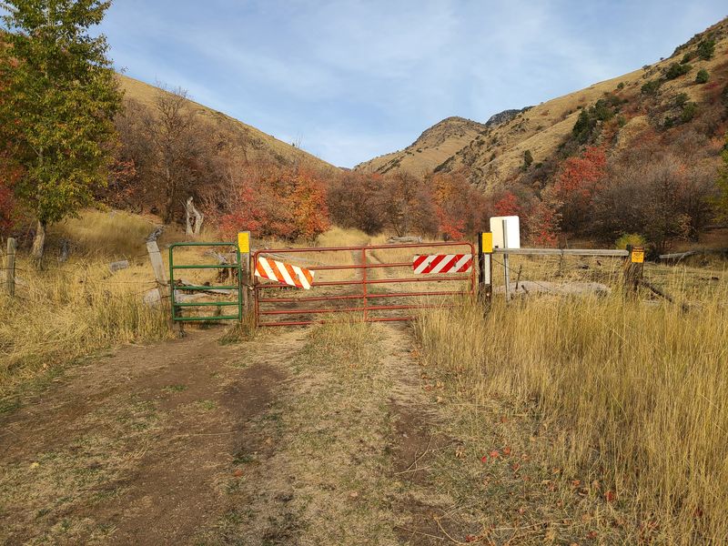 Gate