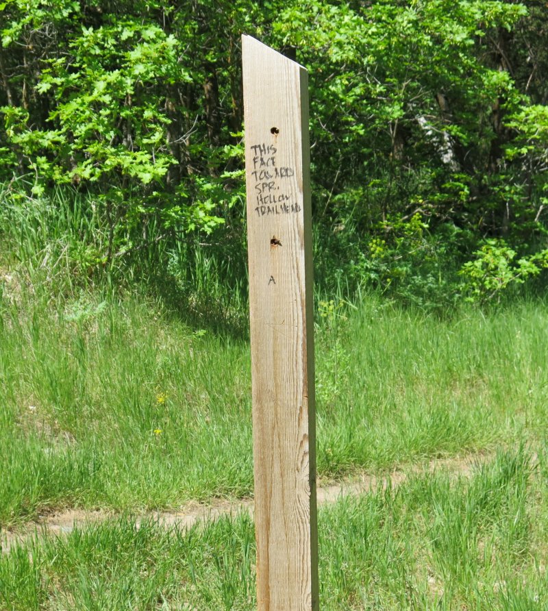 Missing sign