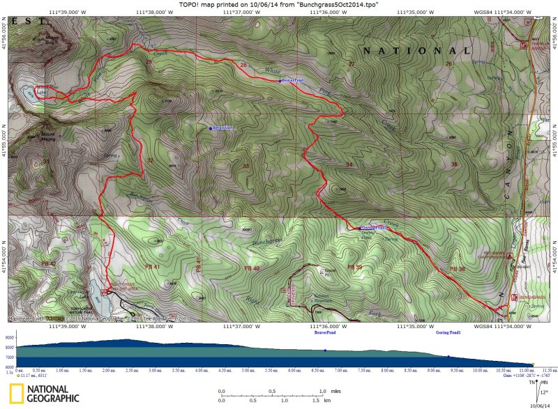 GPS track