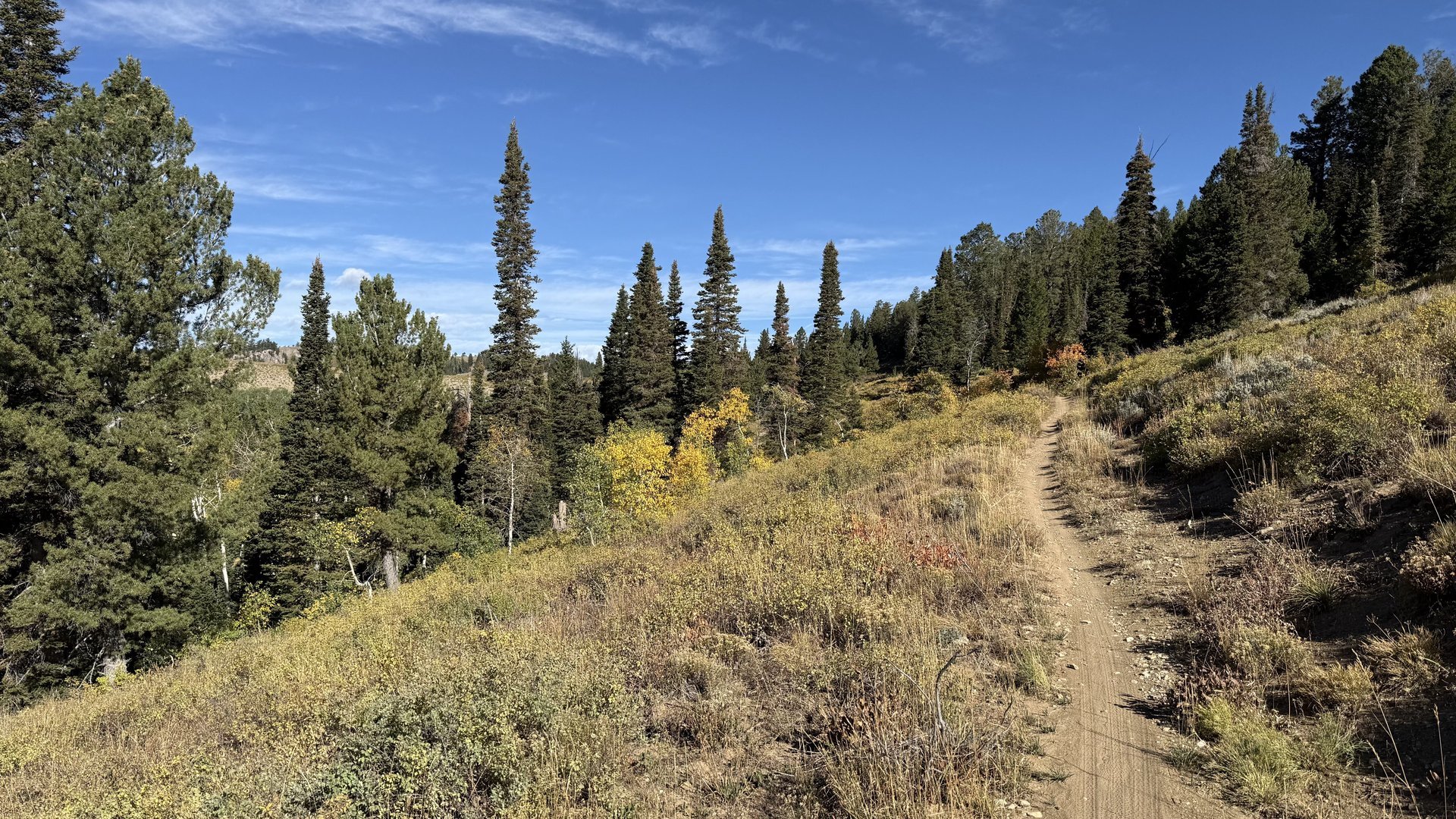 Burnt Fork Trail
                          approaching Turkey Trail Road
