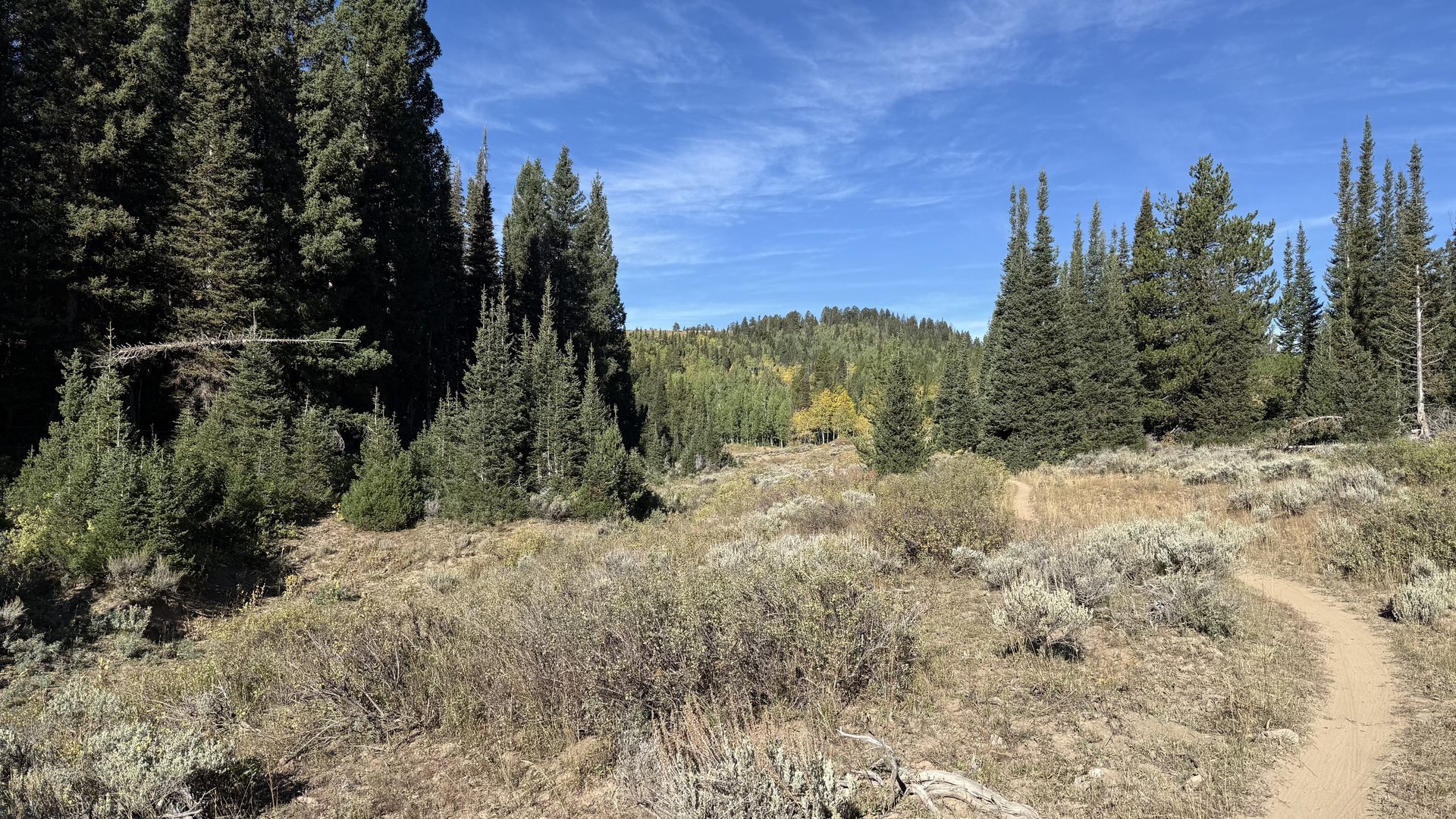 Halfway up the Burnt
                          Fork Trail