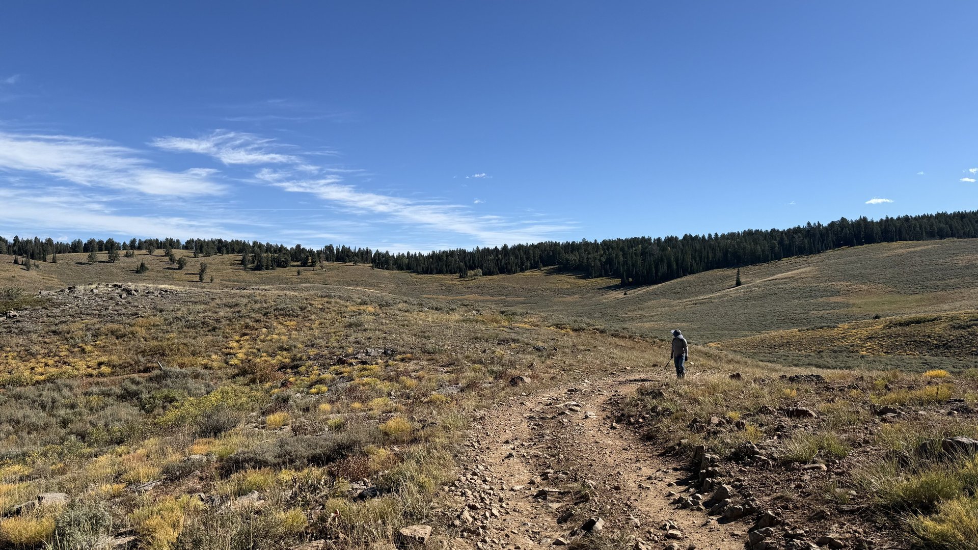 Peter Sinks Road heading
                        NE