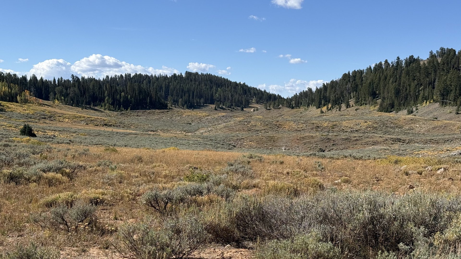 The Saddle View of the
                        South lobe of Peter Sinks