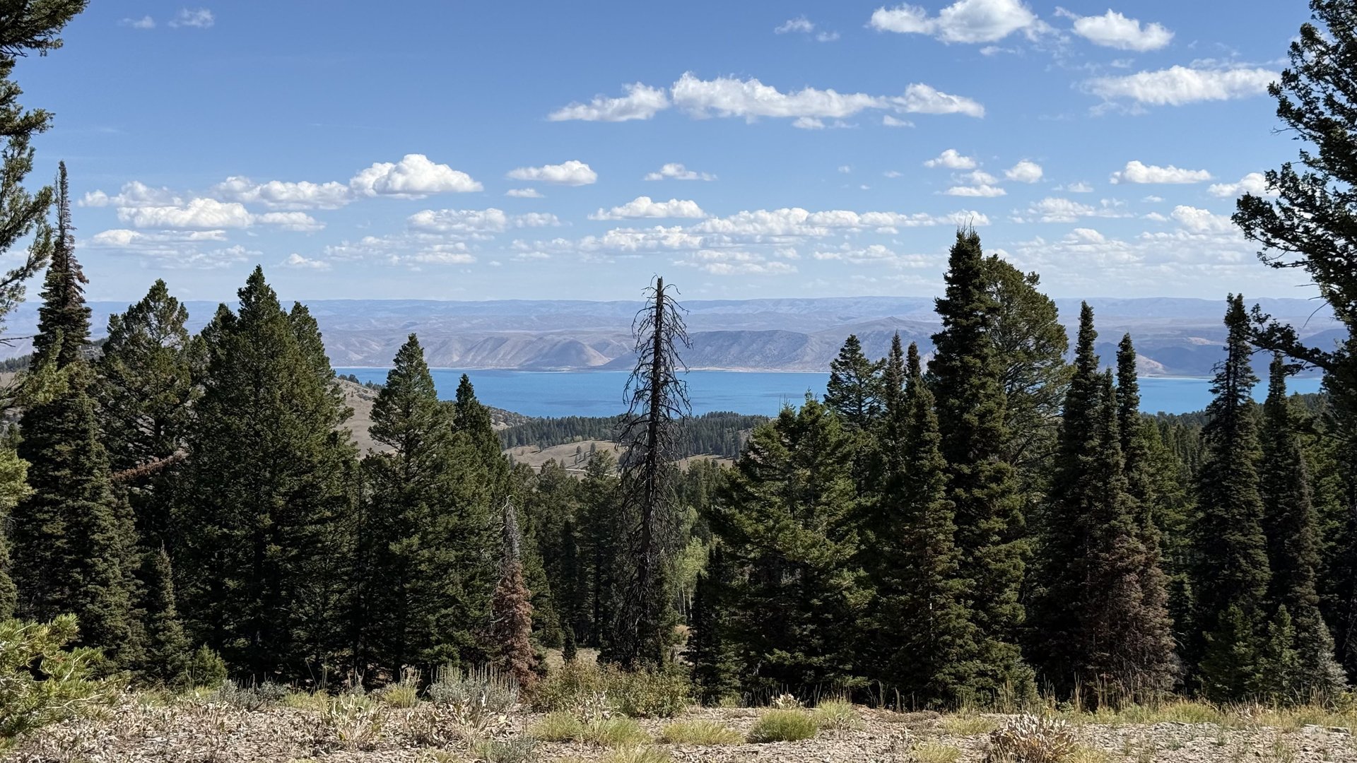 Gorgeous View of Bear
                        Lake to the ENE