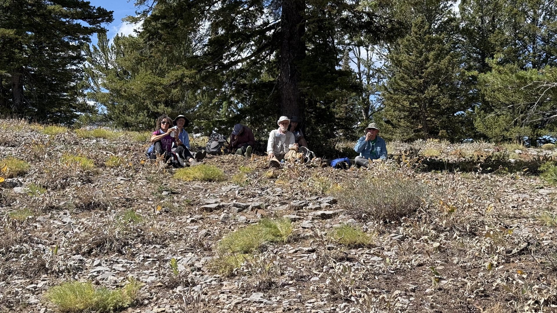 A shady spot was chosen
                        for lunch with a view of Bear Lake