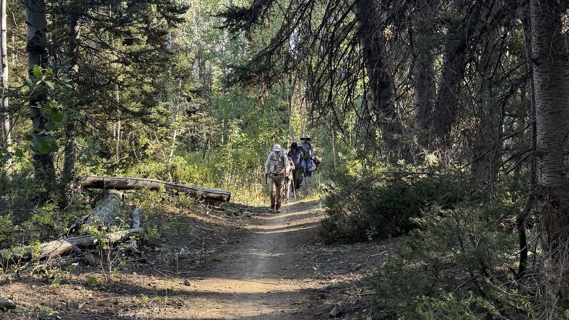 Headed up the
                          Burnt Fork Trail