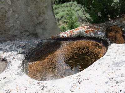 Panholes
