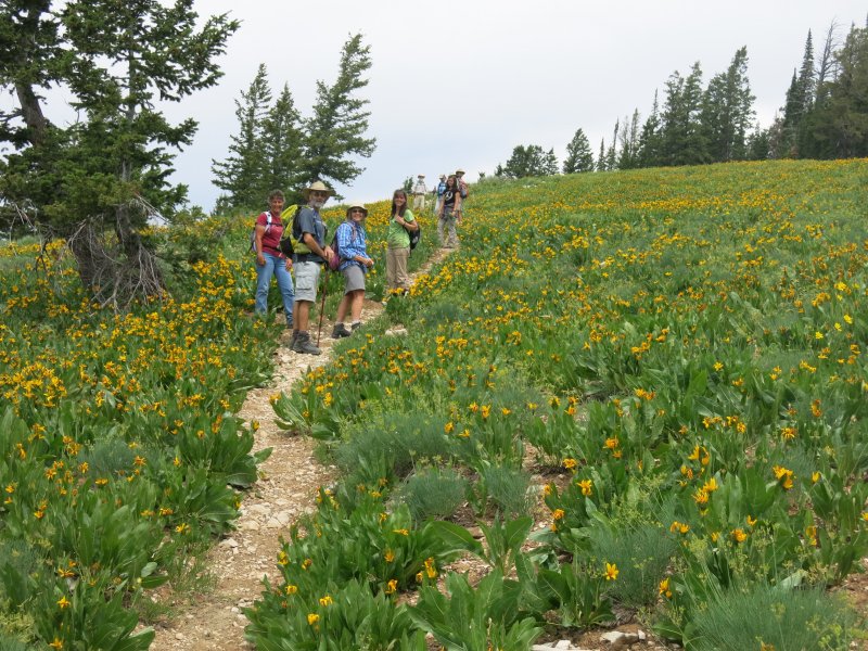 Hikers on
                the Cottonwood Ridge