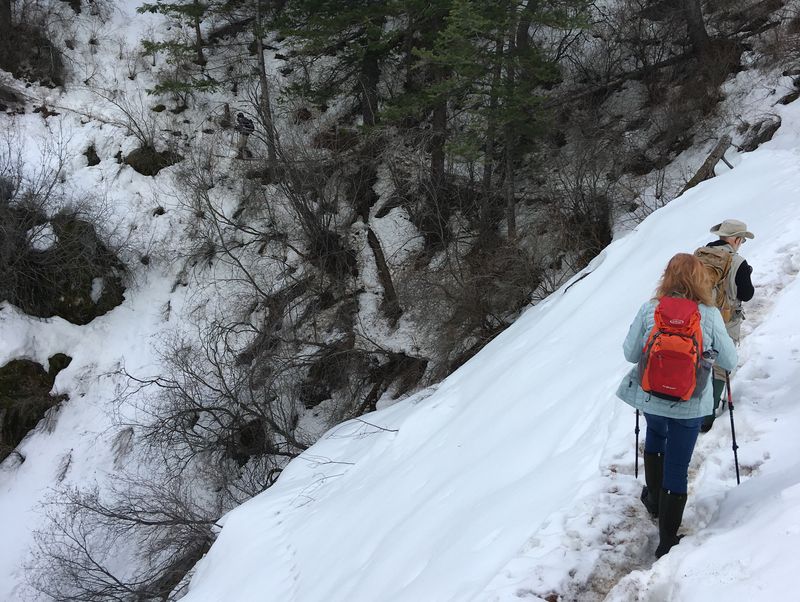 Hikers