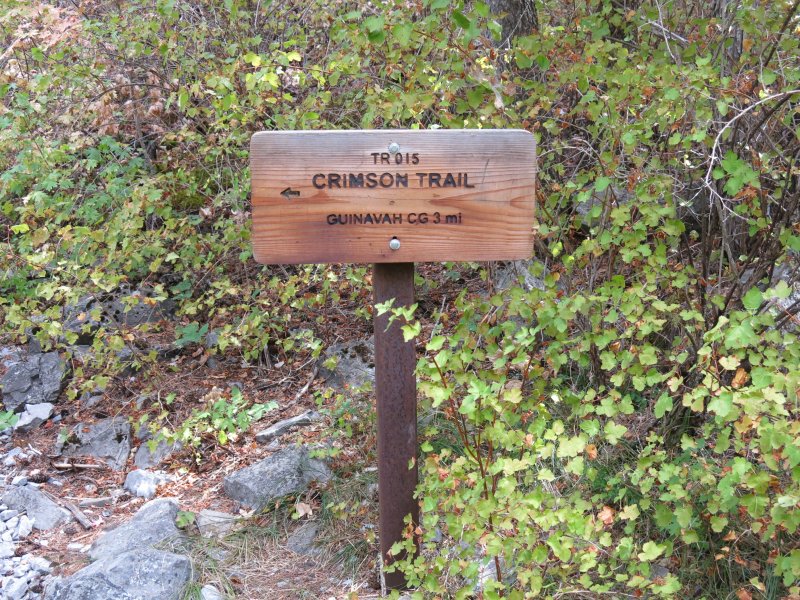 Crimson sign