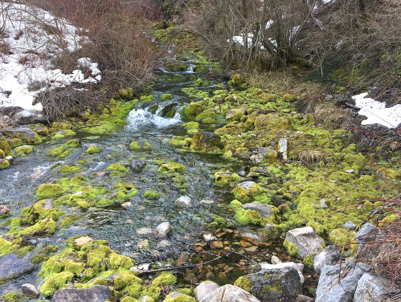 Creek