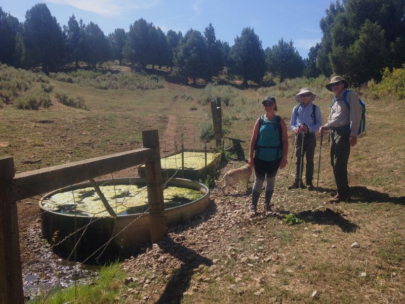 Water trough