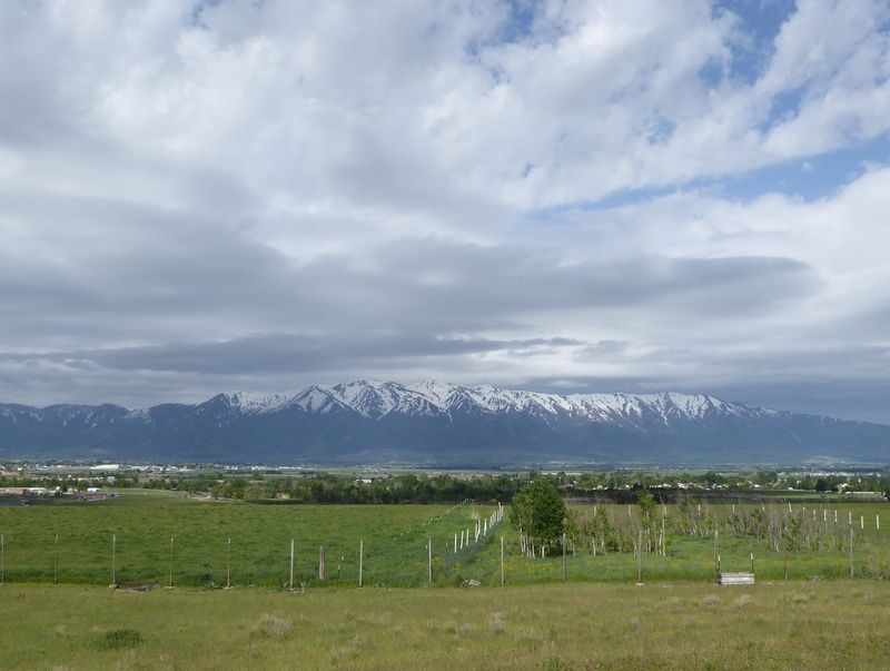 Wellsvilles