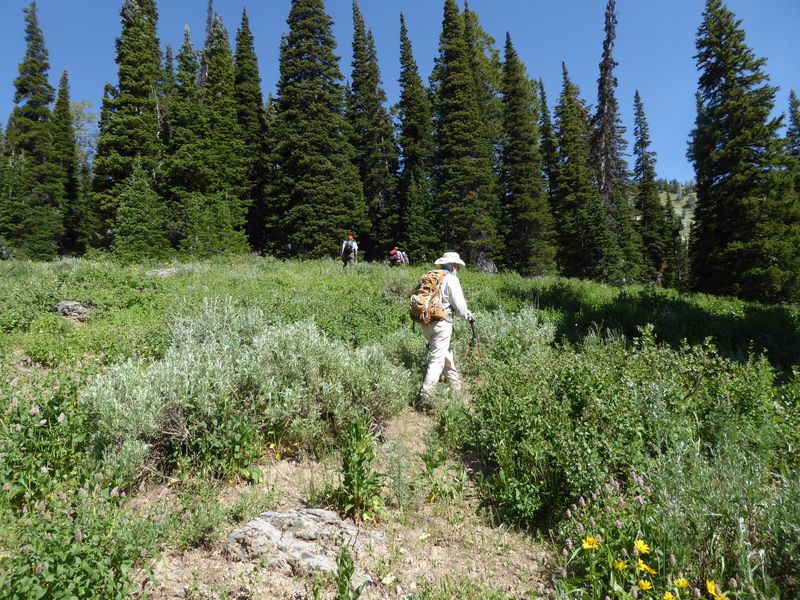 Hiking