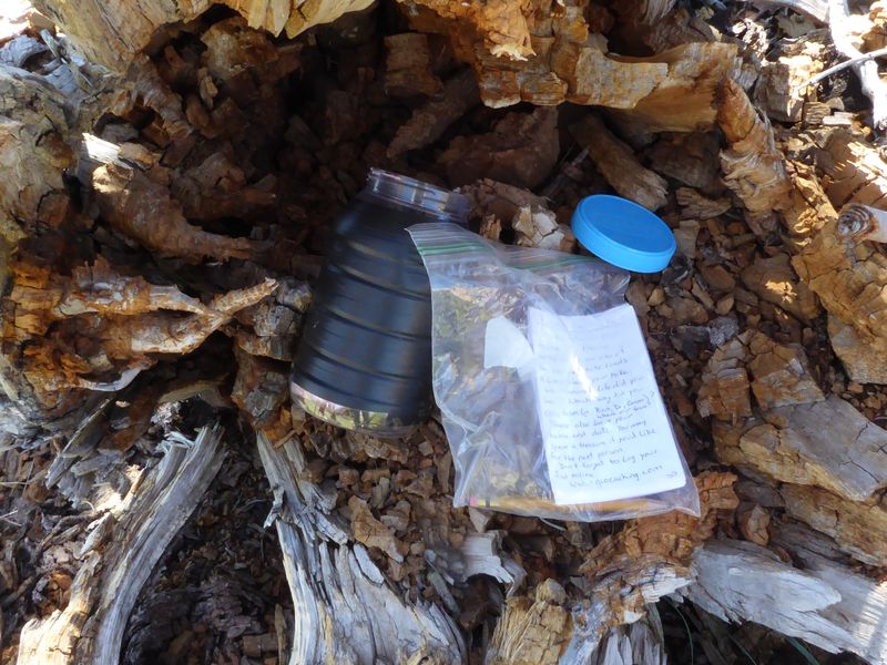 Geocache