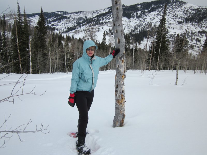 Catherine
        tree