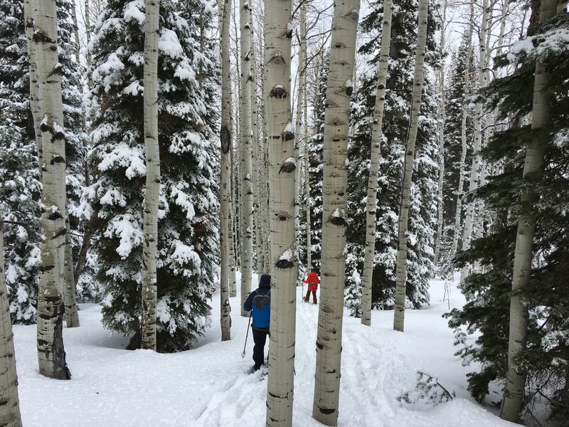 Snoshoeing