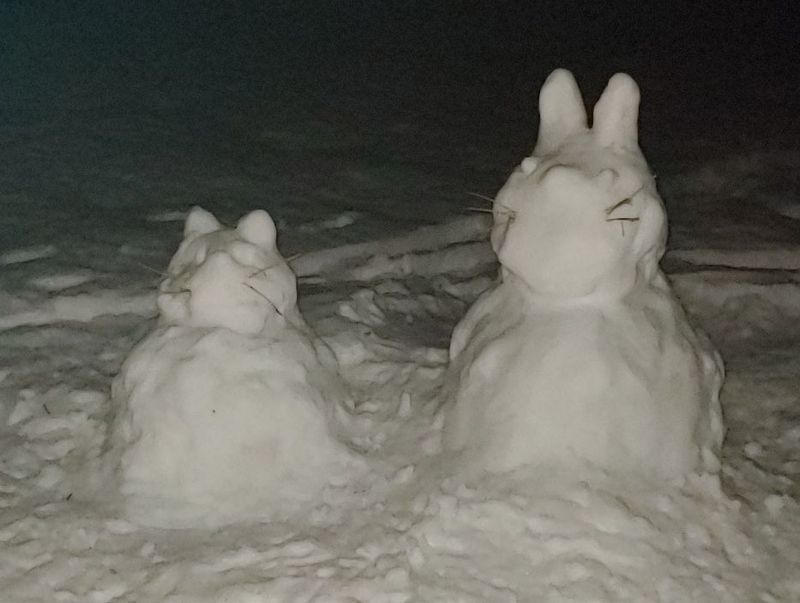 Snow
                      animals