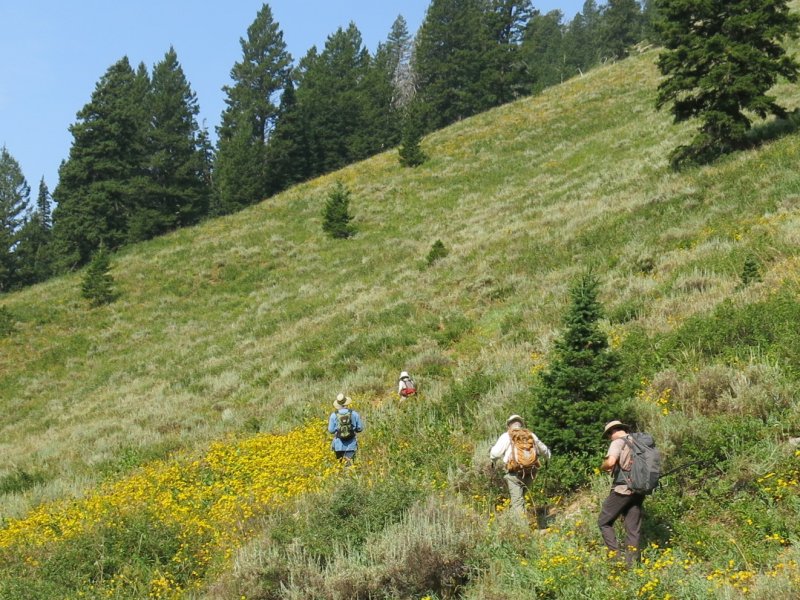 NF High
                        Creek trail
