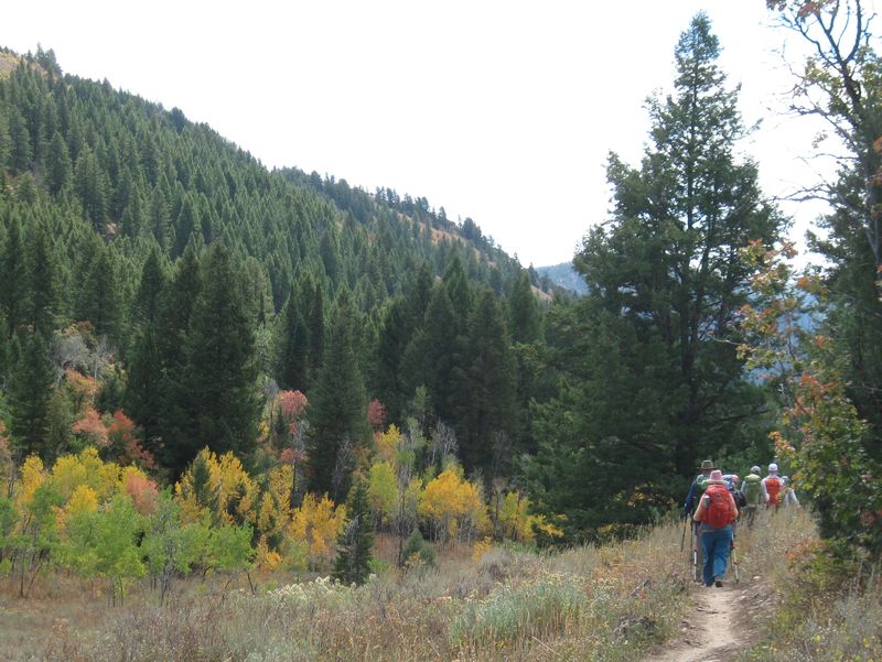 hikers