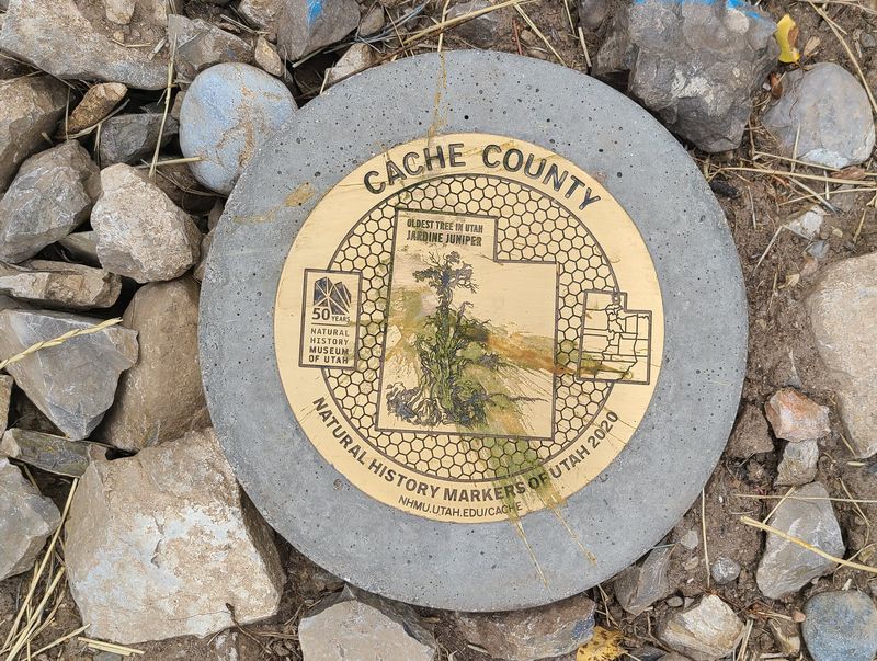 Marker