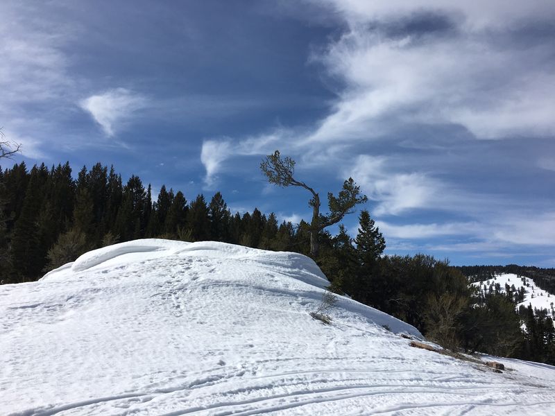 Ridge