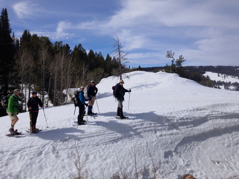 Snowshoers