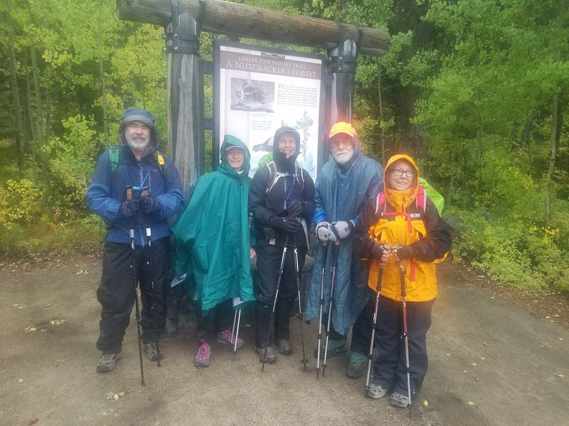 Limber
                        Trailhead