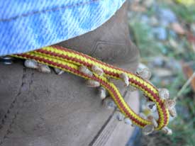 Shoe
