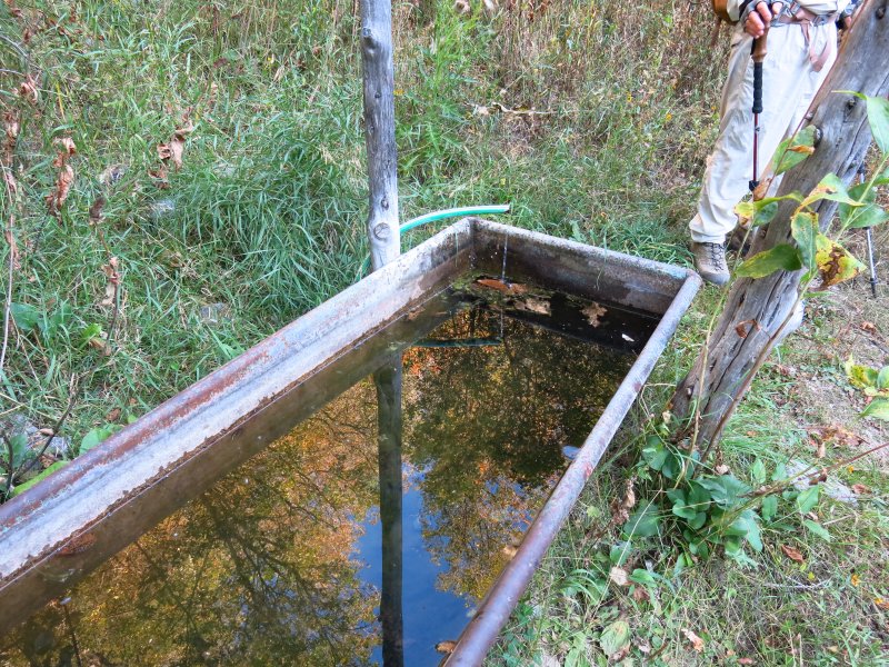 Water