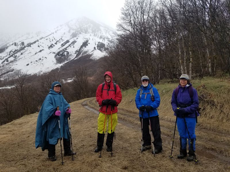 HIkers