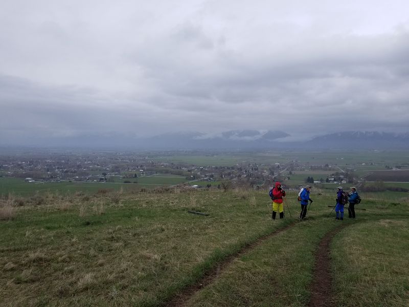 View