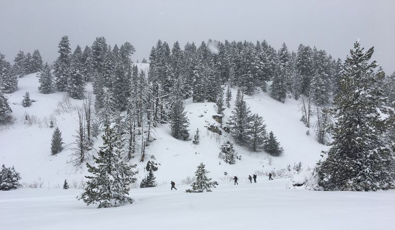 Skiing the groomed
                      track