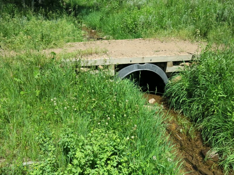 Bridge
