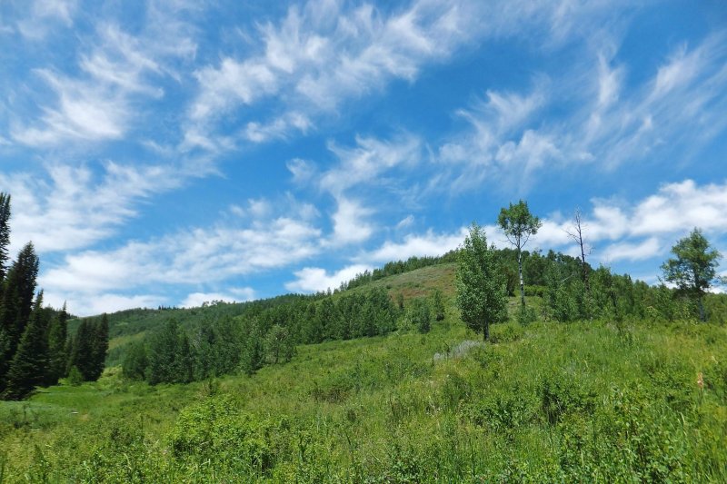Clouds