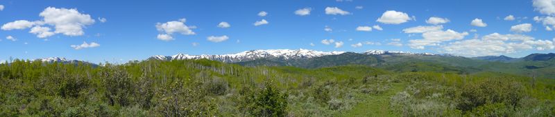 Pano