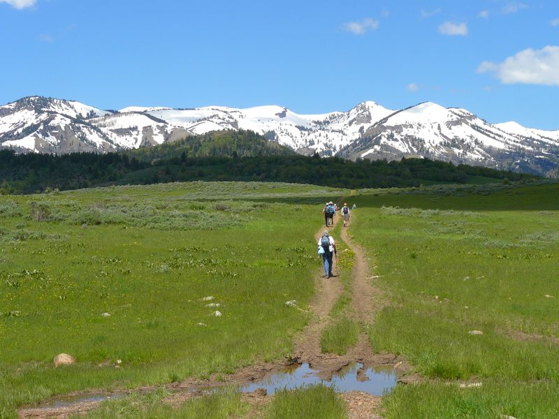 Hikers