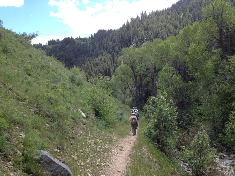 Trail