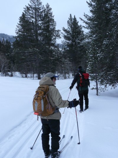 Sink Trail