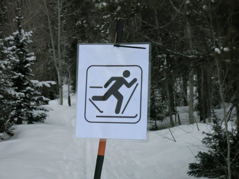 SkierSign