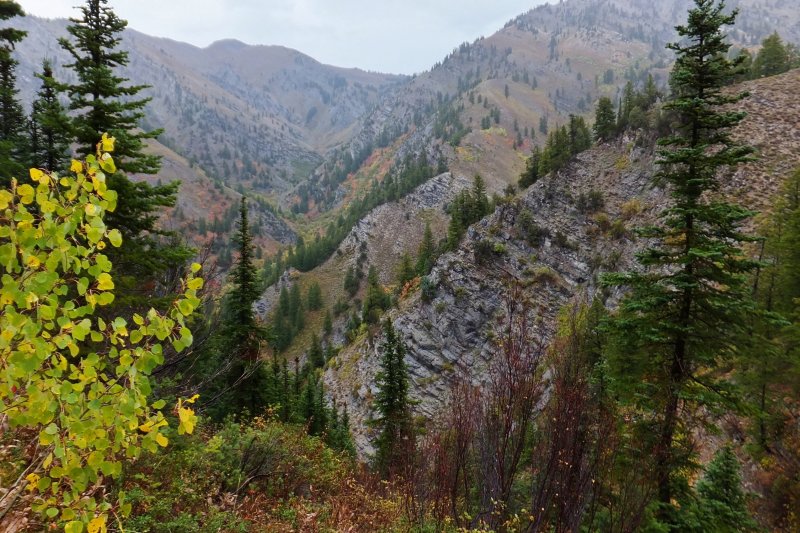 Cherry Peak view