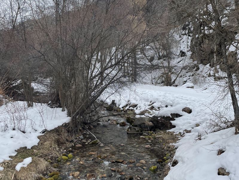 Creek