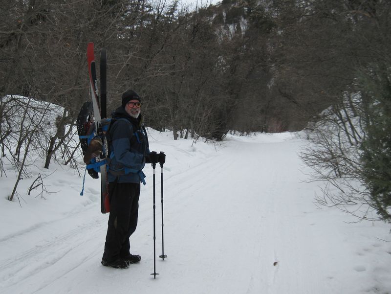 Ski carry