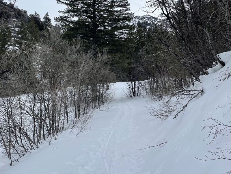 Trail