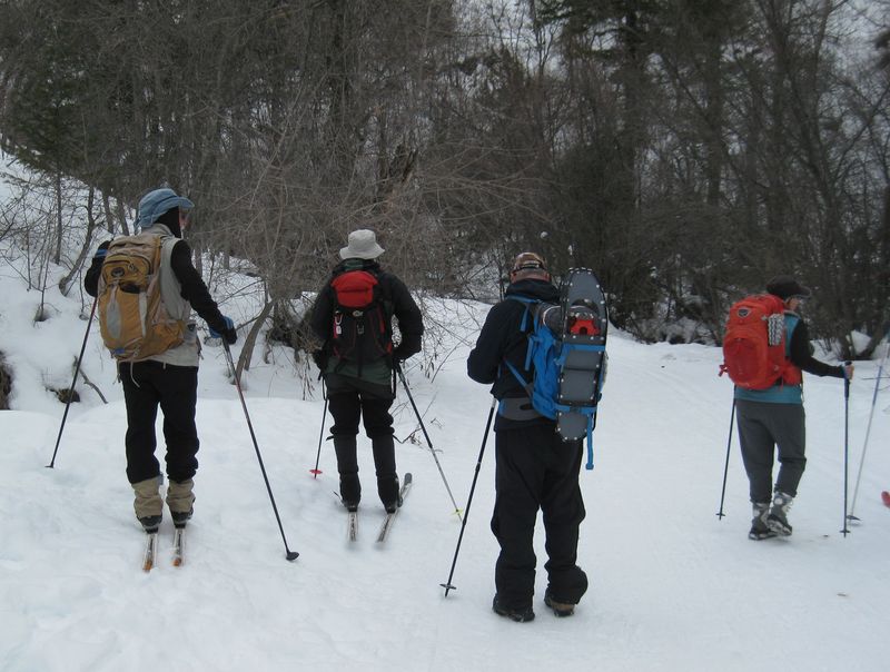 Hikers