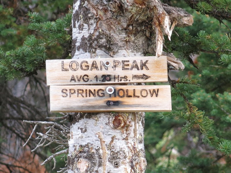 Sign