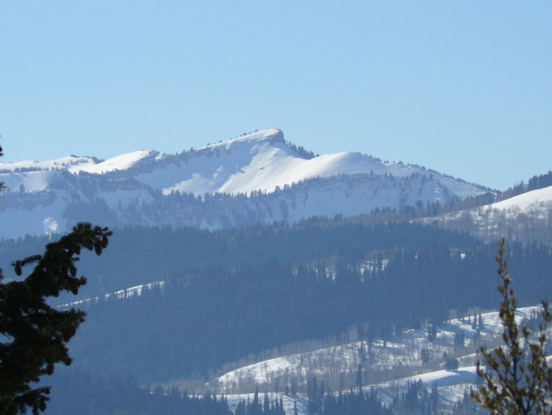 Mt. Elmer