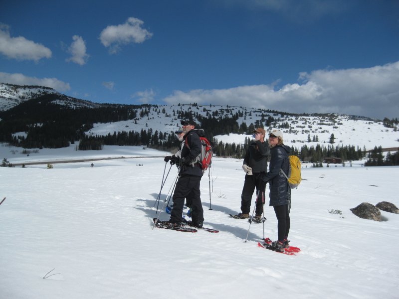 Snowshoers